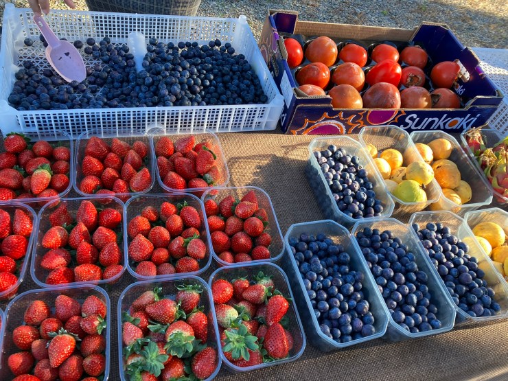 Fruit Market with Frutaria Ramos